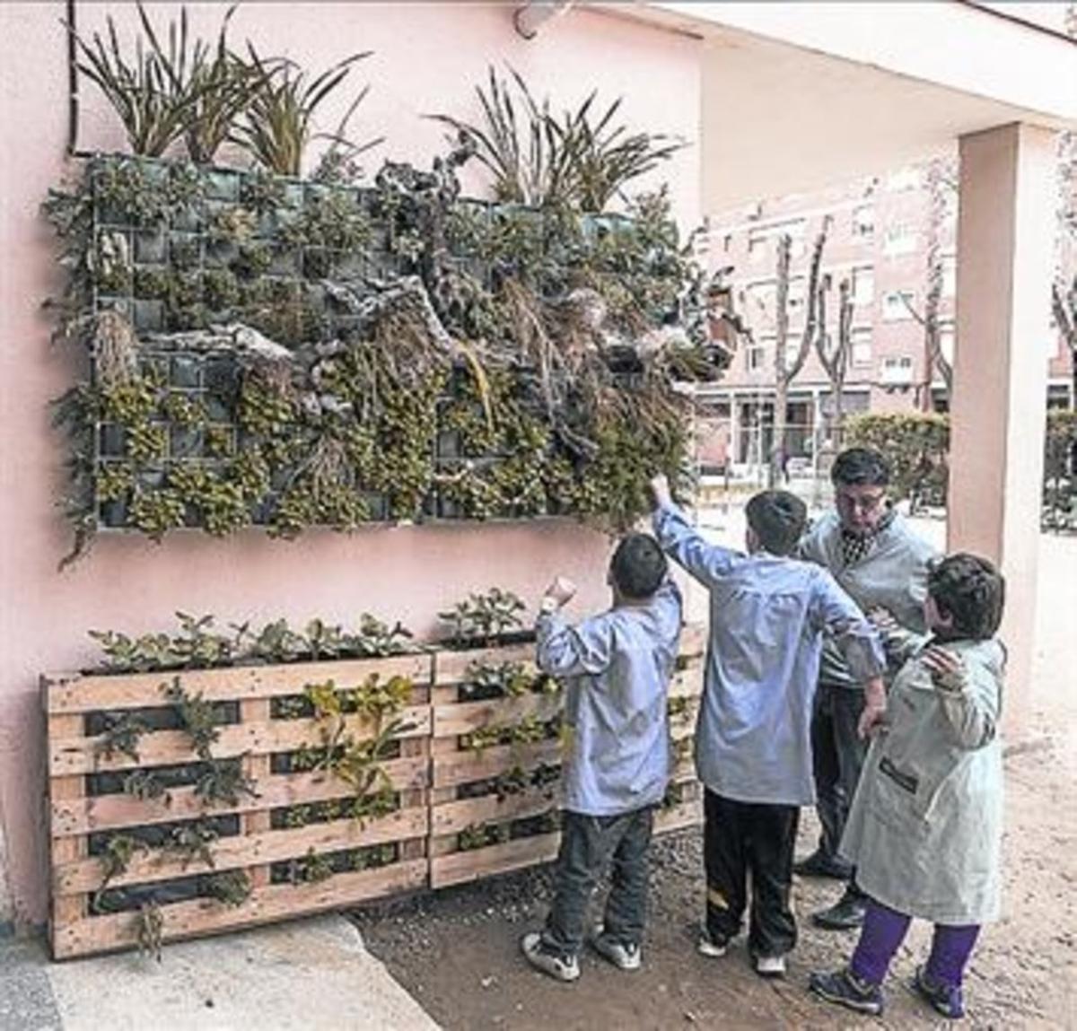 Jardí vertical a l’Escola Nostra Senyora de Montserrat.