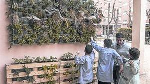 Jardí vertical a l’Escola Nostra Senyora de Montserrat.