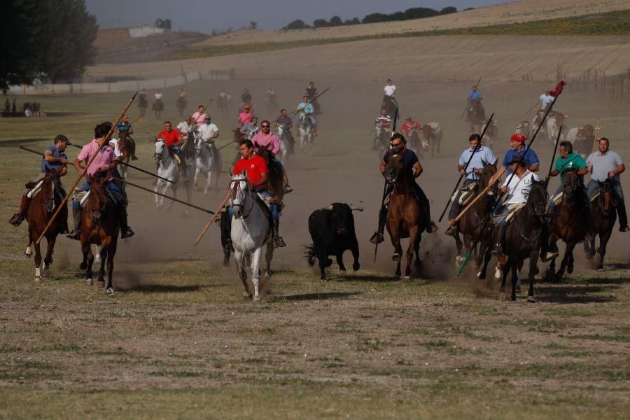 Espantes en Fuentelapeña