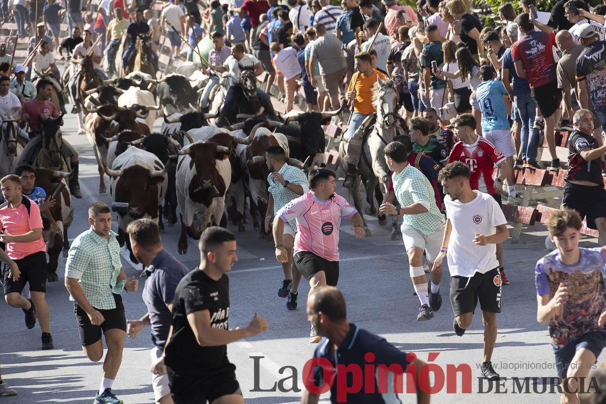 Séptimo encierro de las Fiestas de Moratalla