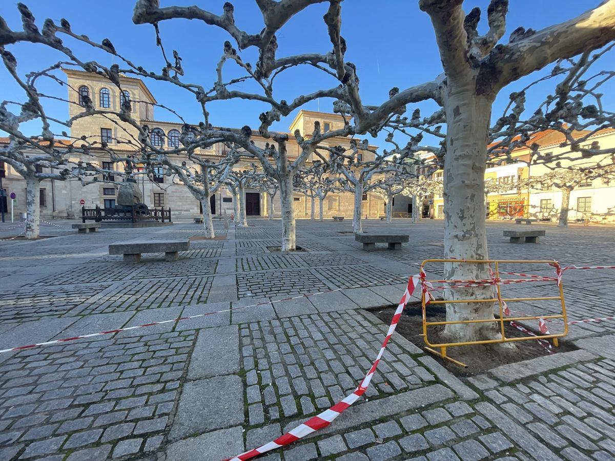 Plaza de Viriato vallada