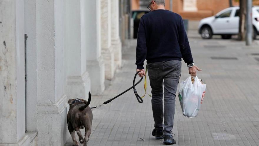 Un home passejant un gos durant els dies de confinament per la ciutat de Girona