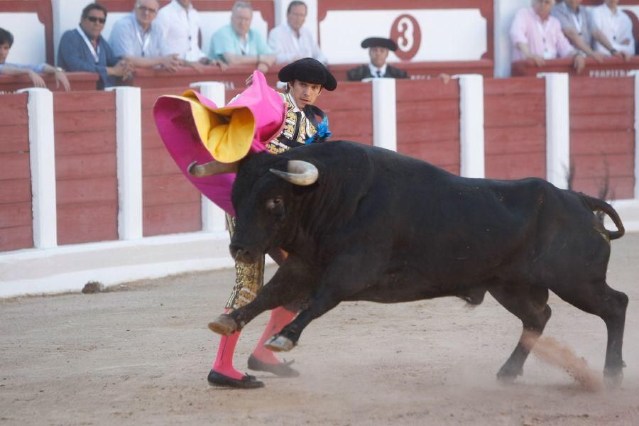 Toros en Zamora