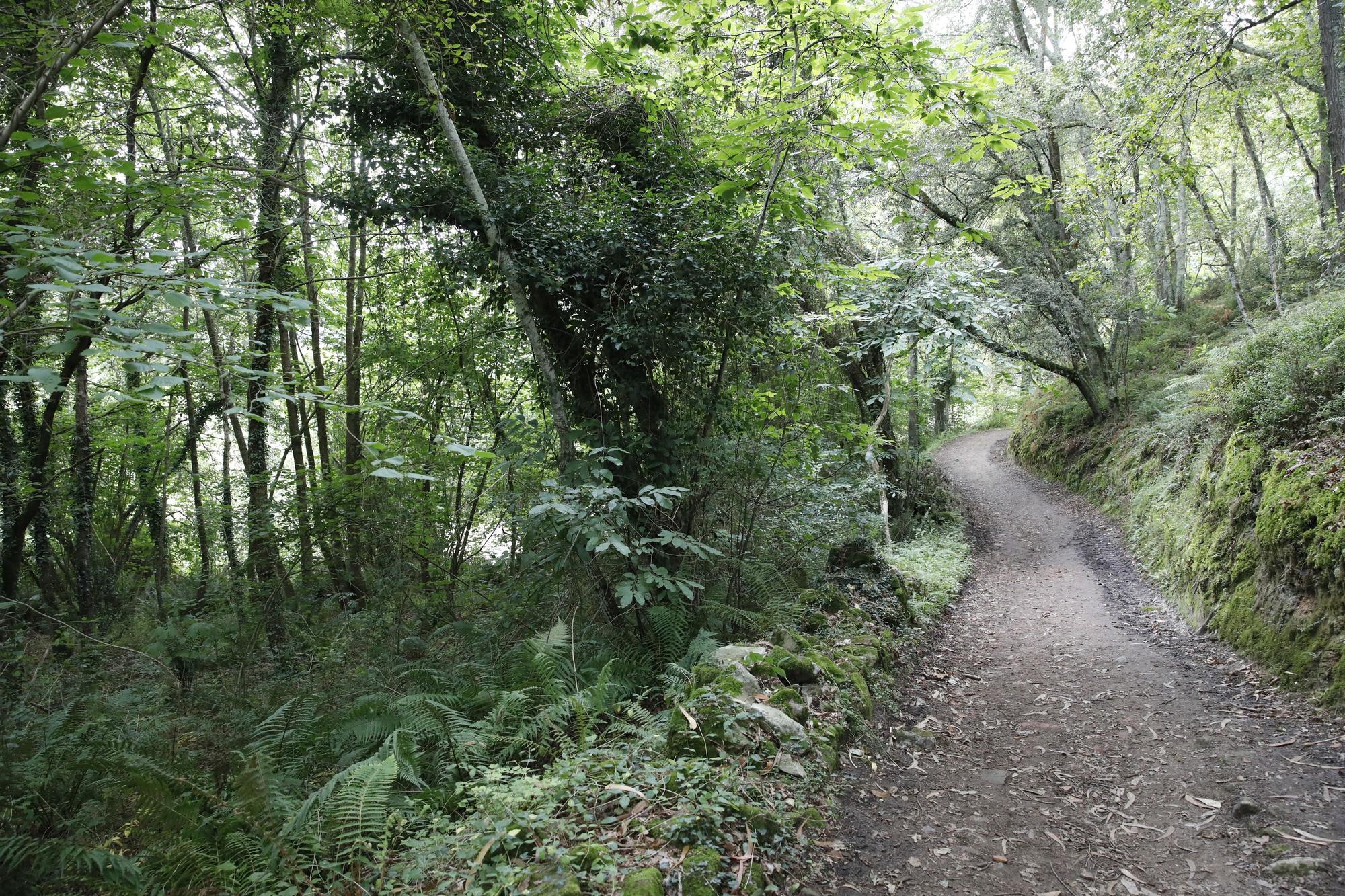 Ruta por Asturias: por el Camín Encantáu