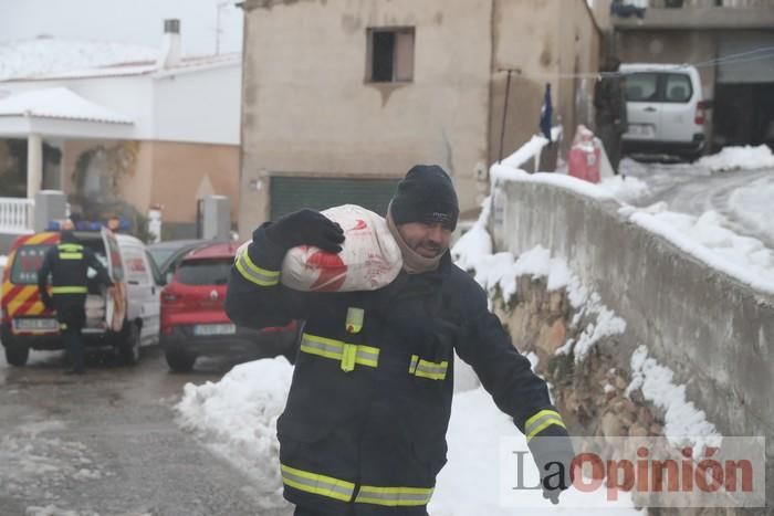 Nieve en Coy y Avilés (Lorca)