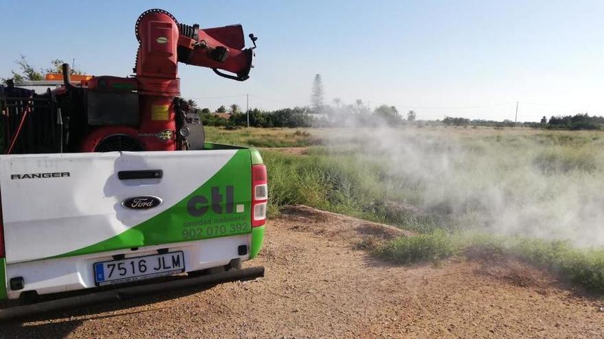 Fumigaciones en Elche estos días