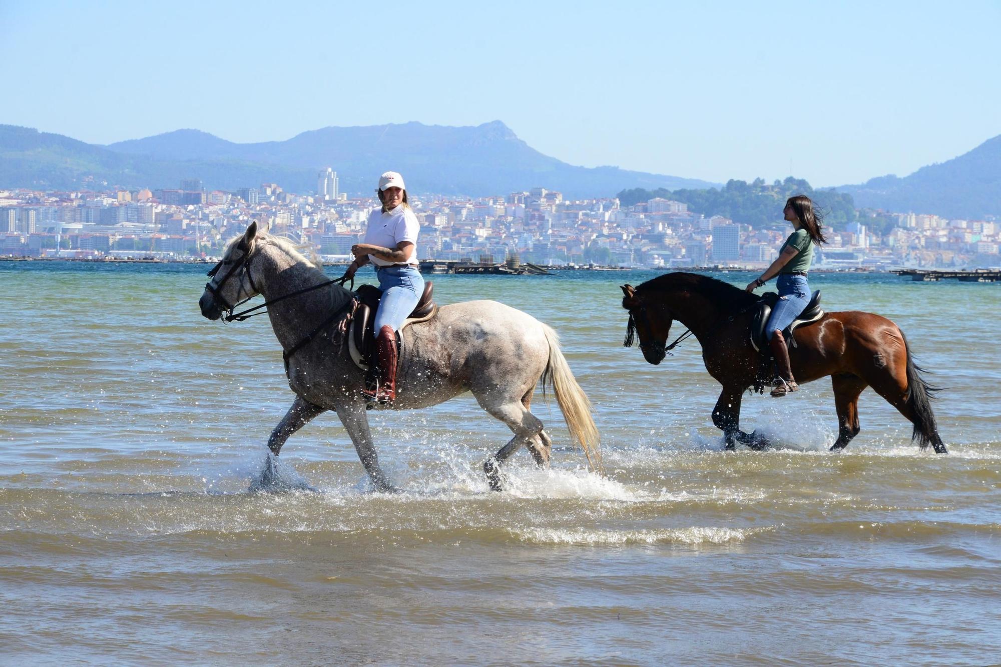 Una espectacular jornada a caballo por Moaña (I)