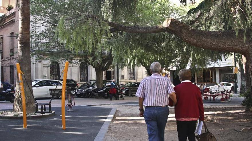 La rama del árbol ya cortada