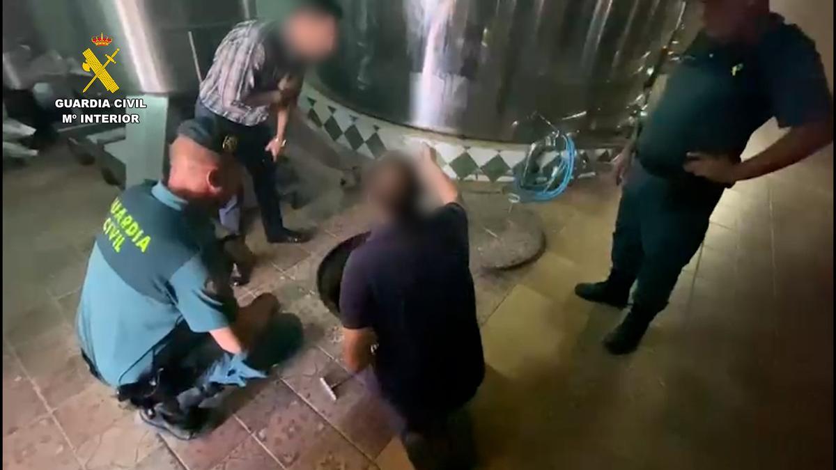 La Guardia Civil interviene en una finca de Córdoba aceite de oliva adulterado
