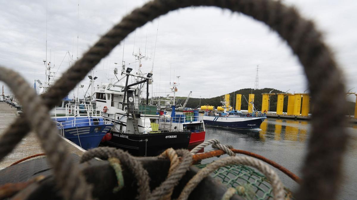 Barcos de pesca atracados en el puerto de Avilés, en una imagen de archivo.