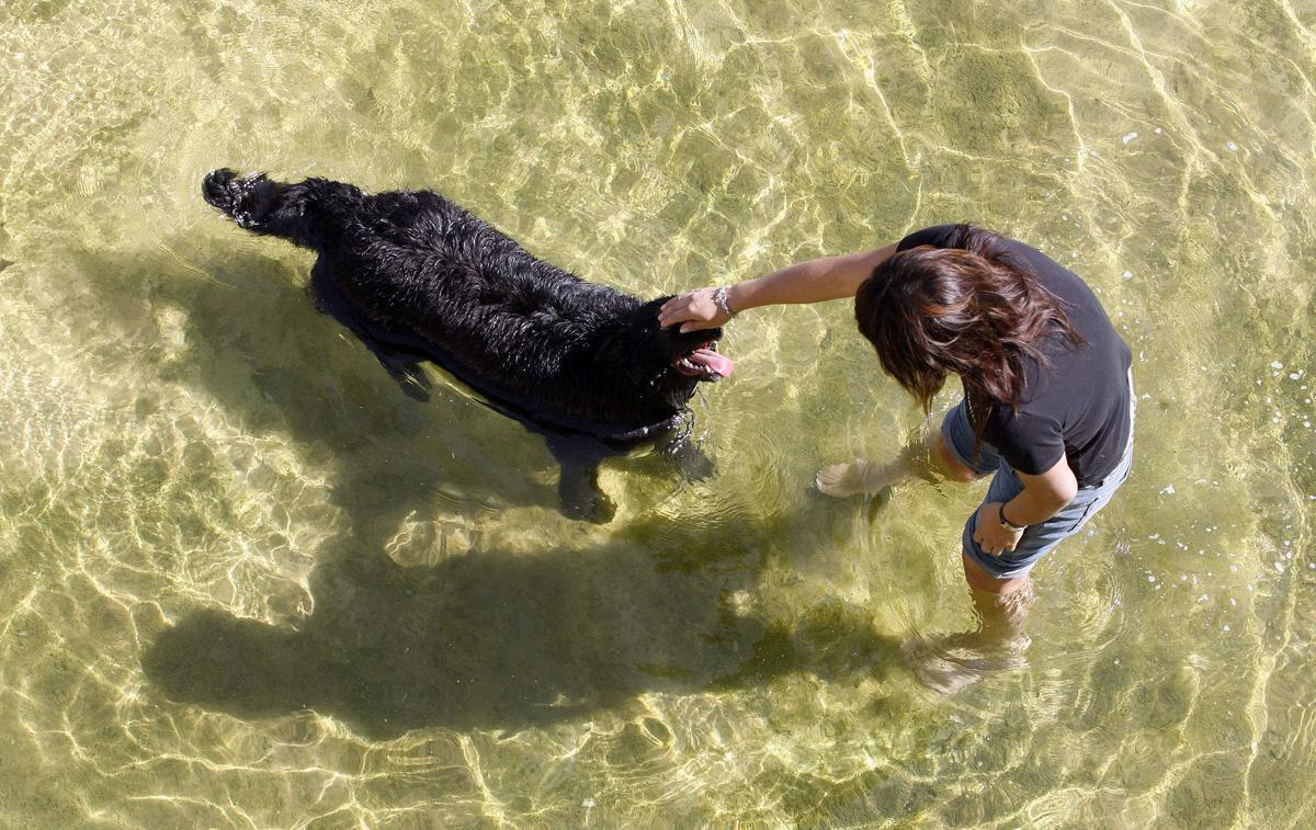 V14. VALENCIA, 25/06/07. Una joven se refresca junto a su perro en una fuente de la ciudad debido al calor provocado por el viento de Poniente, que ha elevado la temperatura máxima en seis grados respecto a ayer. EFE /Kai Försterling / Ciudad. calor. gente. viento de poniente