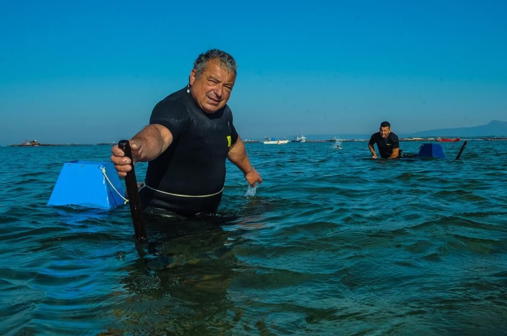 El marisqueo también genera turismo