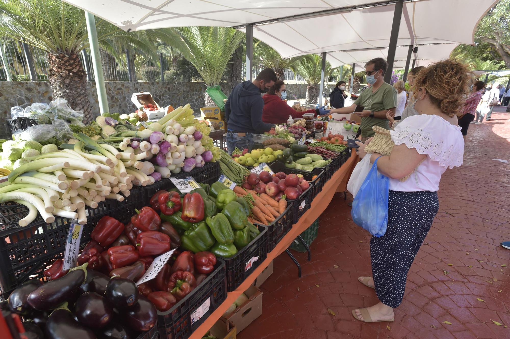 Reapertura del Mercado Agrícola de San Lorenzo (18/04/2021)