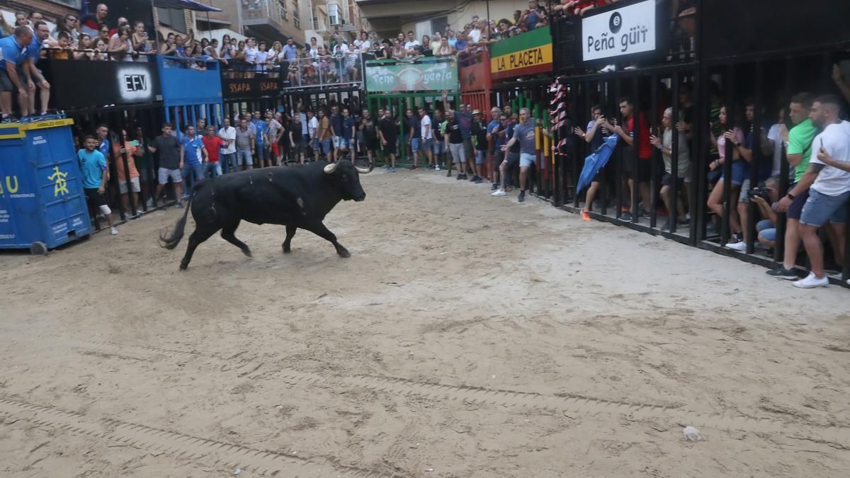 Festejos taurinos en una foto de archivo.
