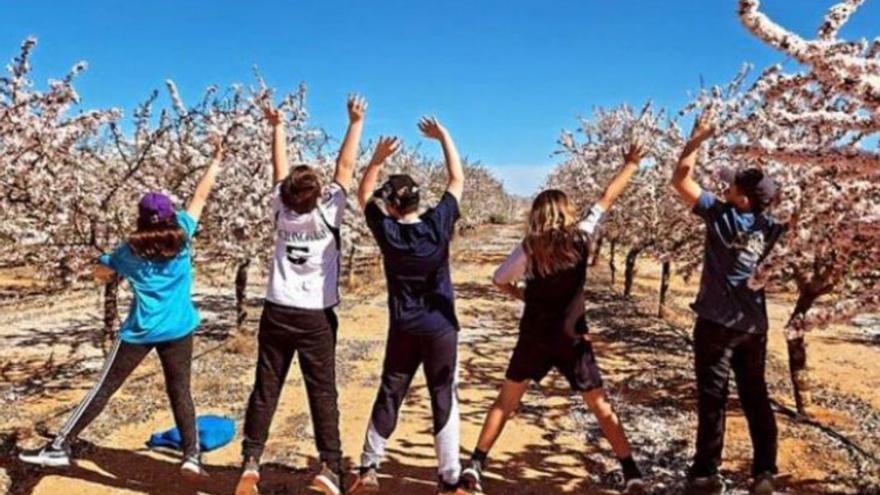 Paseo por los almendros en flor con vermut y premio