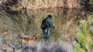 Finaliza la inspección en la casa del detenido por la desaparición de Esther López en Valladolid