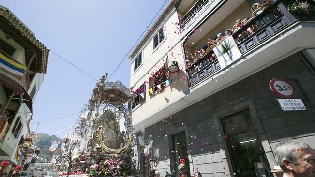 FIESTAS DEL PINO 2016