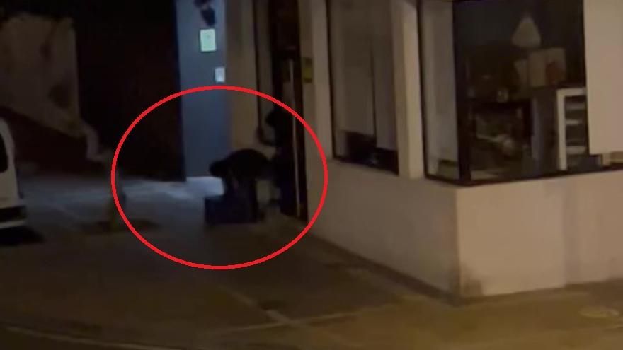 This is how they robbed a bakery in the Canary Islands