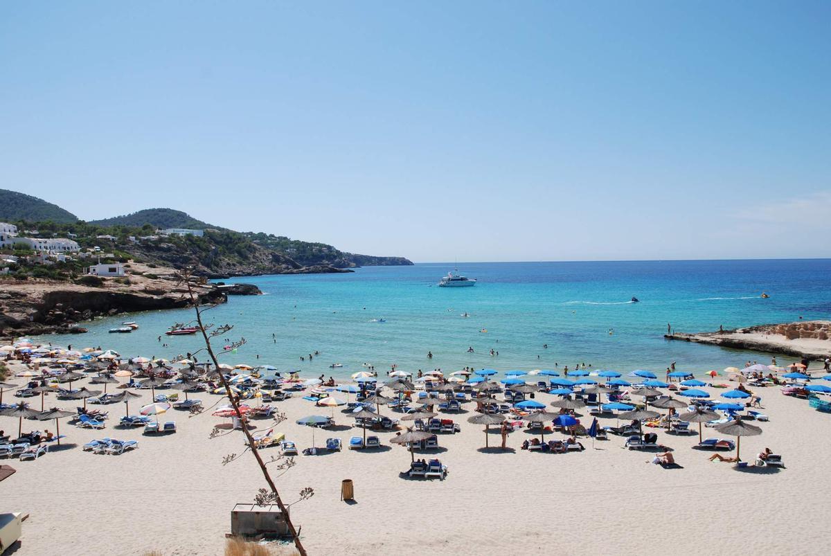 El Govern autoriza el sistema para eliminar las manchas de microalgas en Cala Vedella, Cala Tarida y Port des Torrent