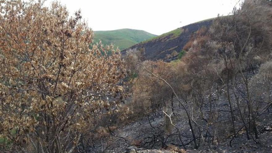 Arriba, el helicóptero de Bomberos sobrevuela el pueblo de Ferreira. A la izquierda, el monte quemado de Folgoso.