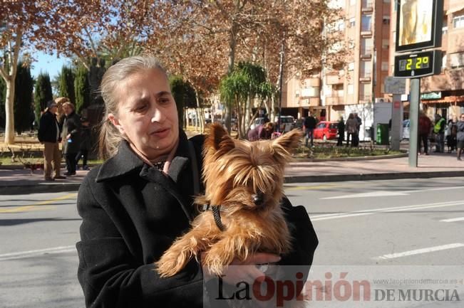 Los perros copan la bendición de San Antón en Murcia