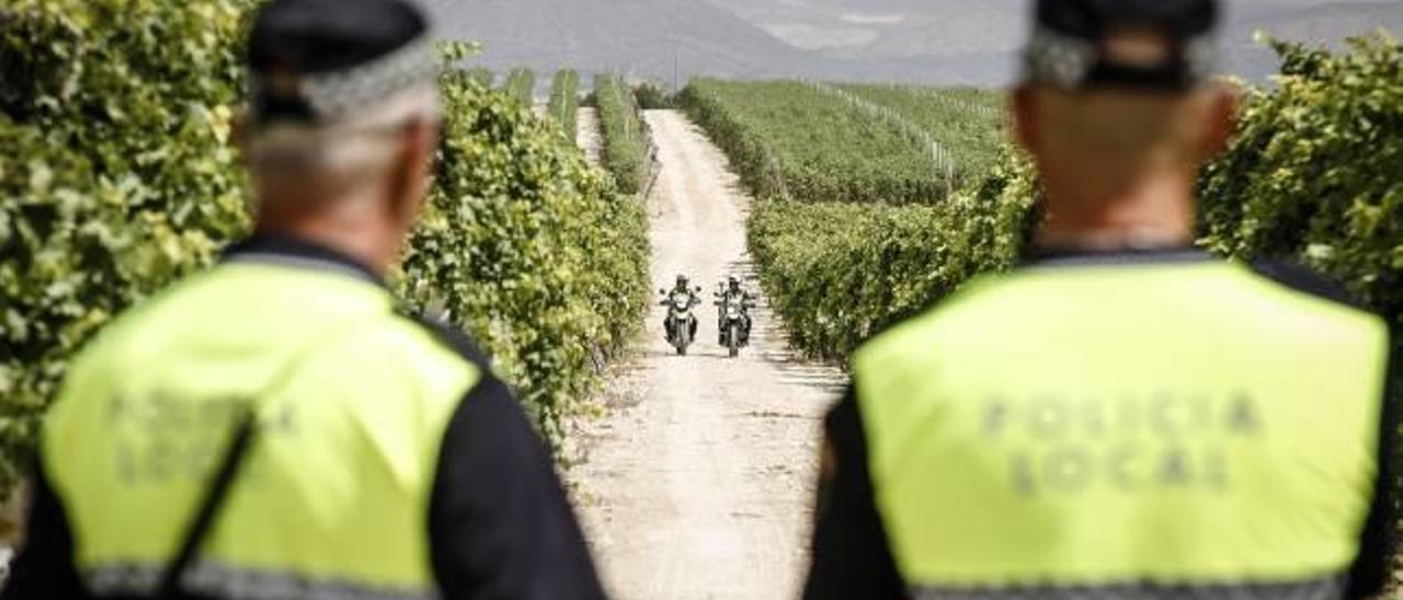 Agentes de la Policía Local de Novelda ayer, durante el dispositivo especial de vigilancia de la uva de mesa