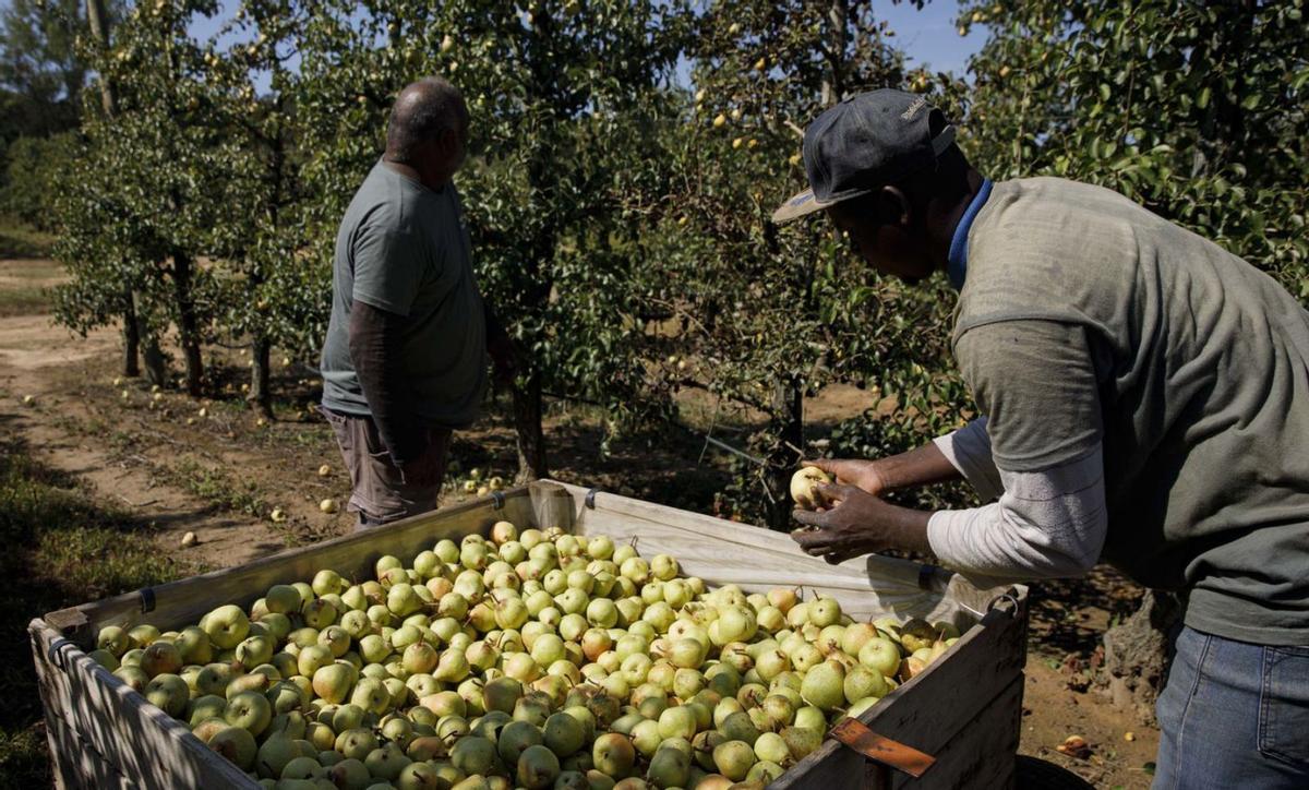 Les patronals agràries, davant el TSJC per negar-se a assumir el salari mínim