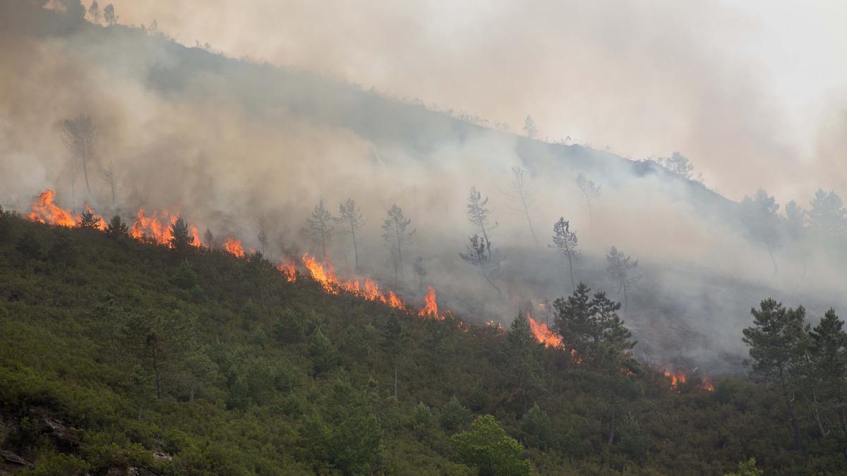 Imagen de archivo de un incendio en Galicia.