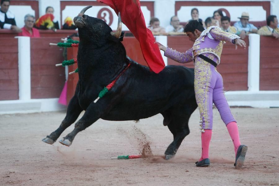 Toros en Zamora