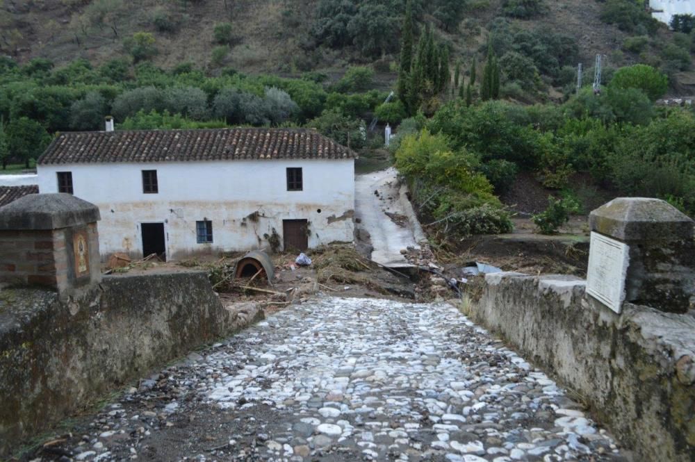 Daños en Coín tras la lluvia de anoche.