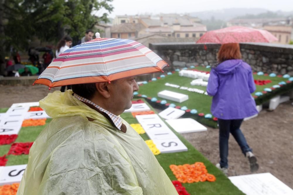 La pluja no desanima l'afluència de públic a «Temps de Flors»