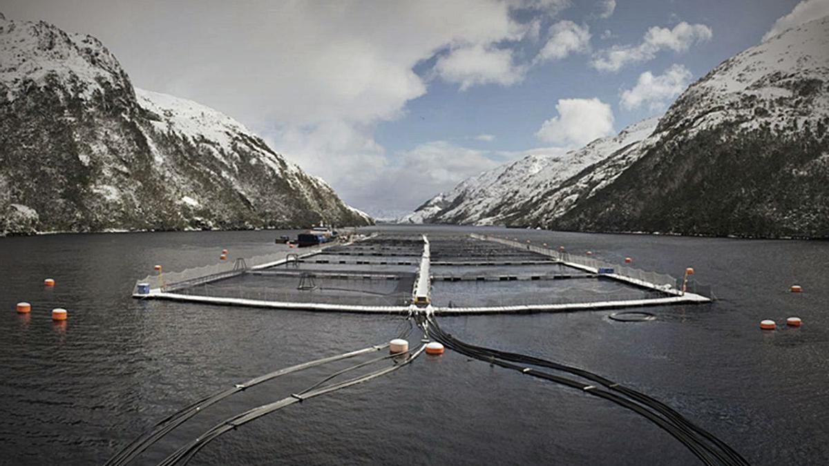 Instalaciones de Nova Austral, antigua filial de Pescanova, al sur de Chile.   | // NOVA AUSTRAL