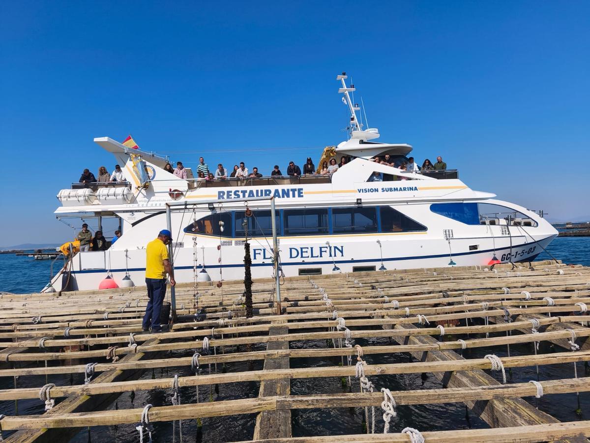 Una excursión en catamarán este fin de semana.