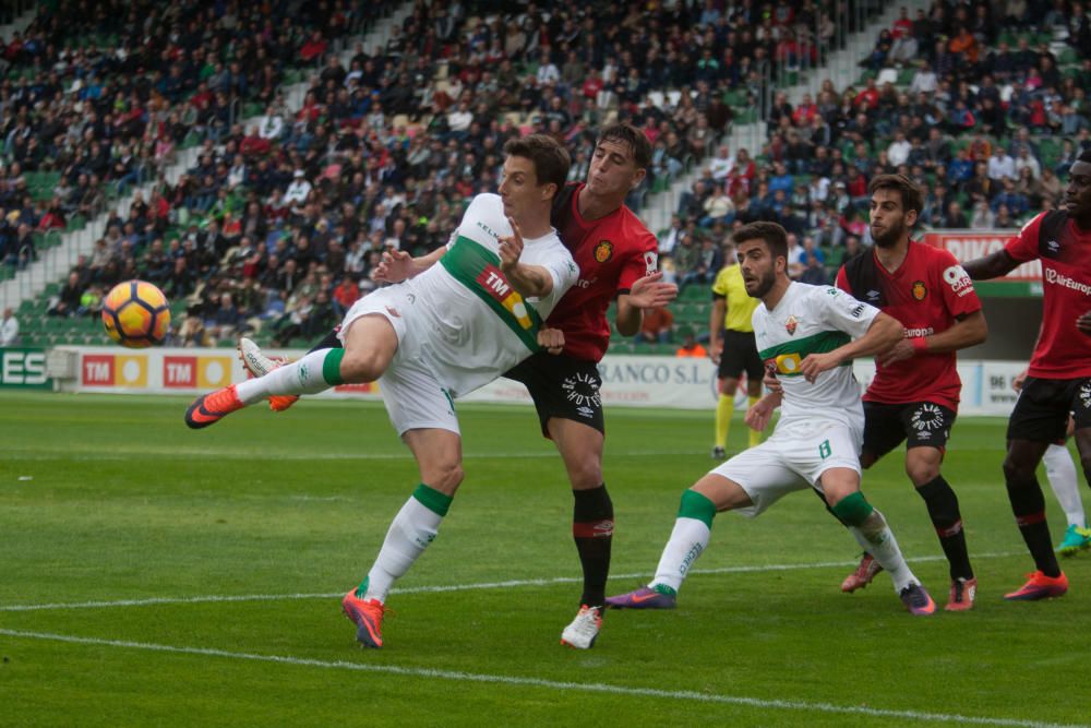 Elche - Mallorca