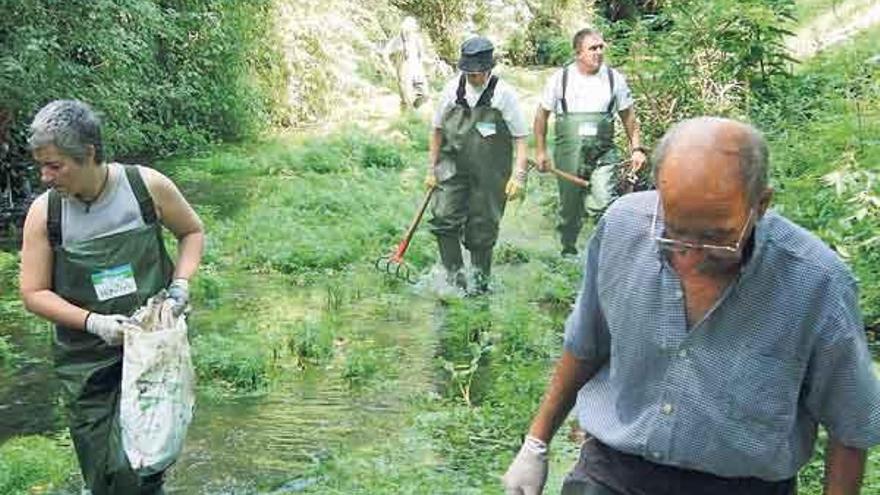 La limpieza del río Os Gafos finaliza con la retirada de 2.000 kilos de basura
