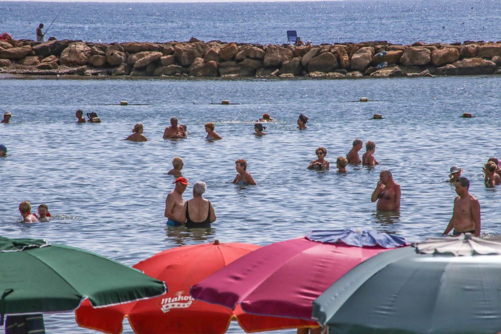 El buen tiempo y las buenas condiciones marítimas siguen animando a pasar la jornada en la playa pese a que desde hace tres semanas no hay servicio de socorrismo en Torrevieja