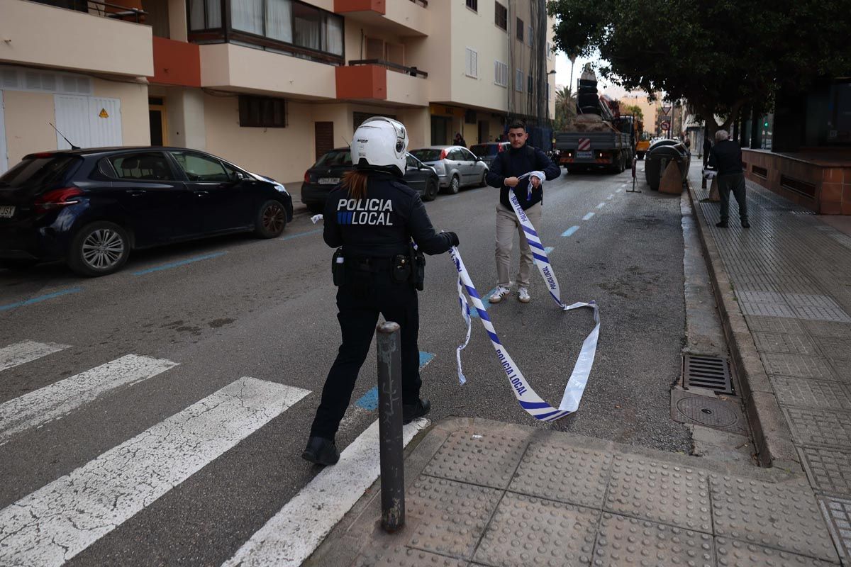 Galería: Todas las imagenes del traslado de la pagesa de Ibzia a su nueva ubicación