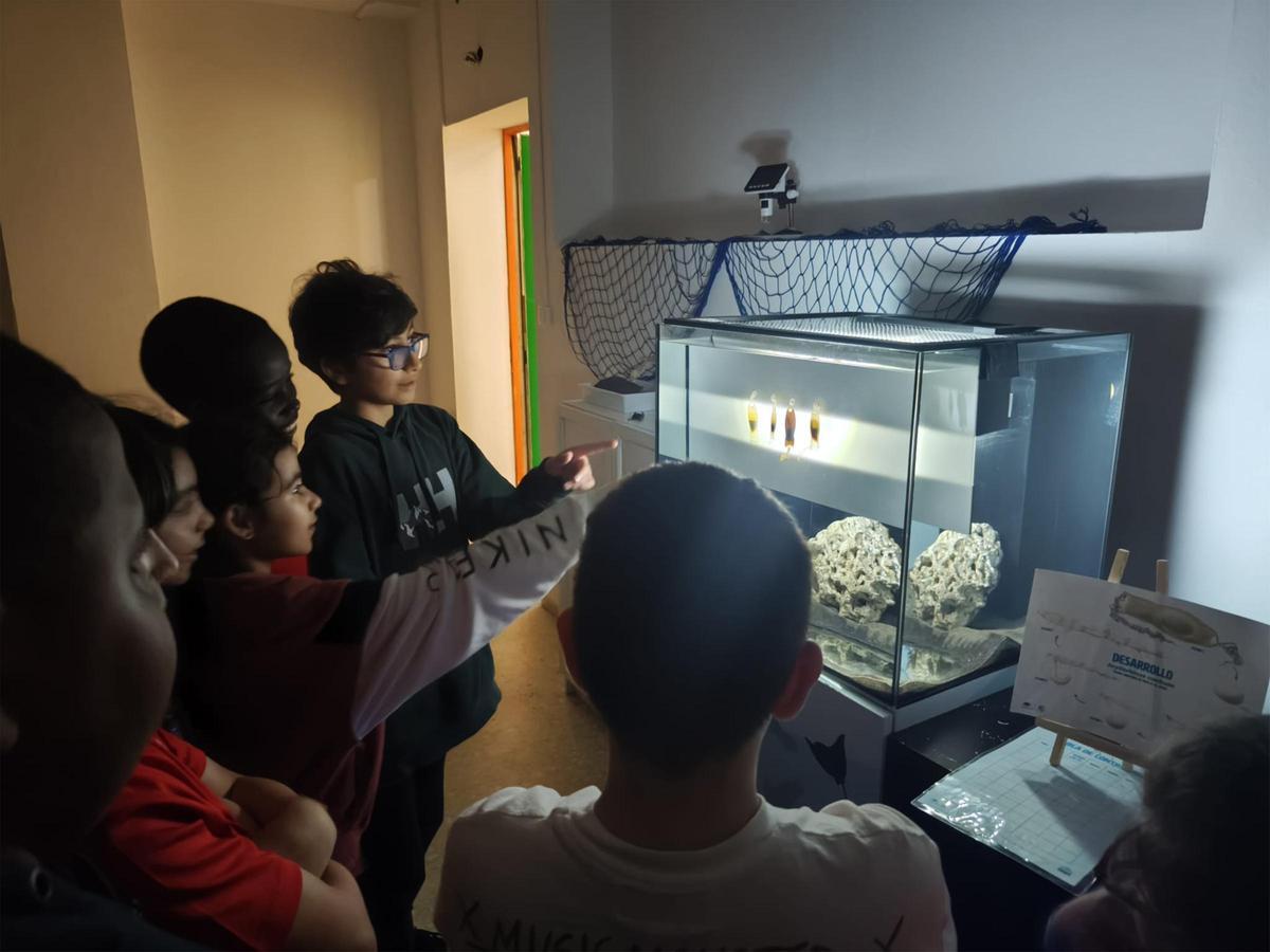 Participantes en el proyecto en el Rey Pelayo.