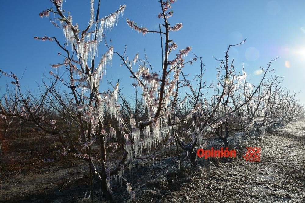 Helada en Cieza 9 de febrero de 2018