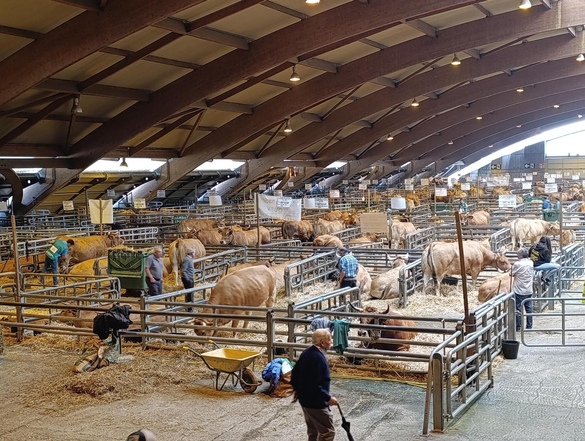 Arranca Agrosiero en La Pola