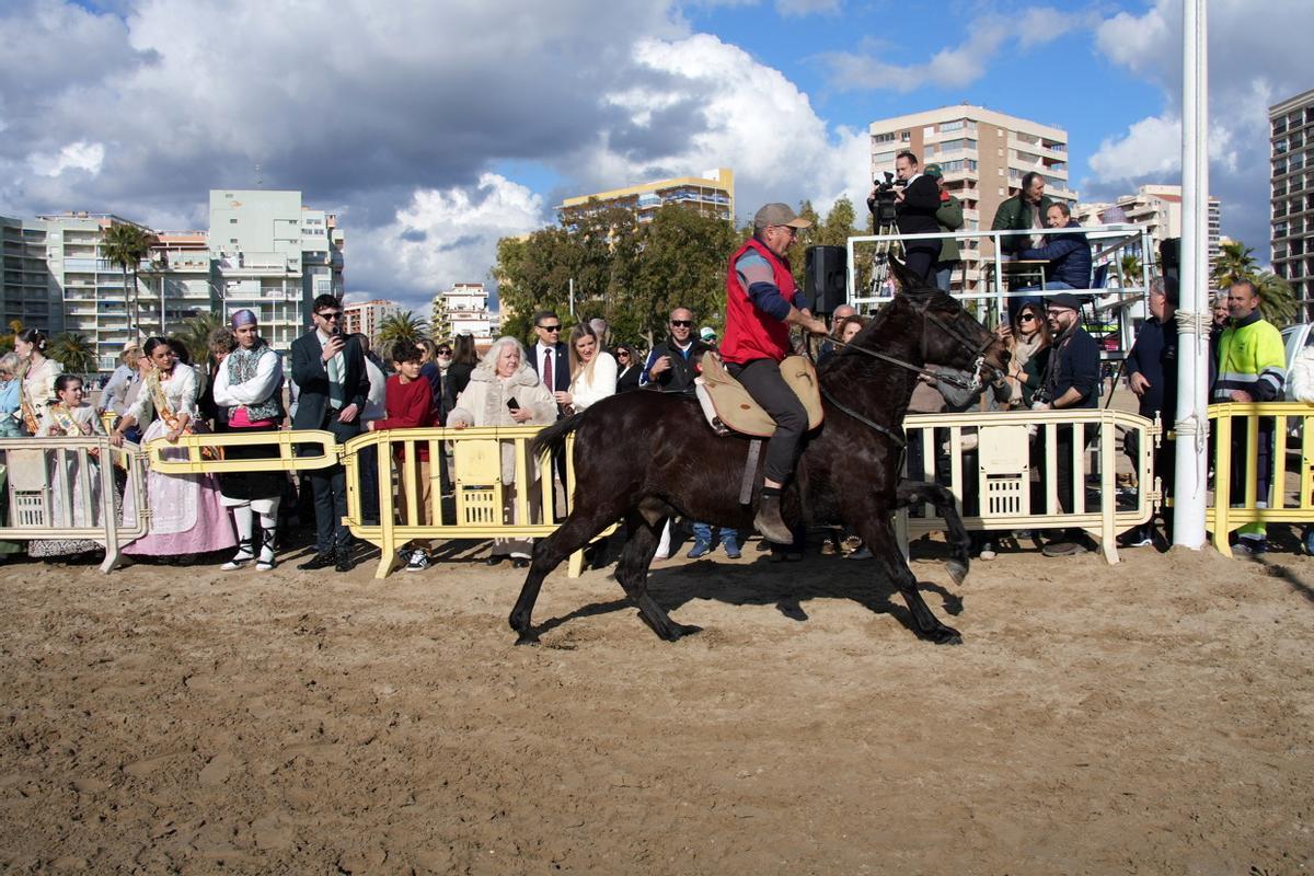 Las imágenes de la carrera de caballos en la playa de Orpesa