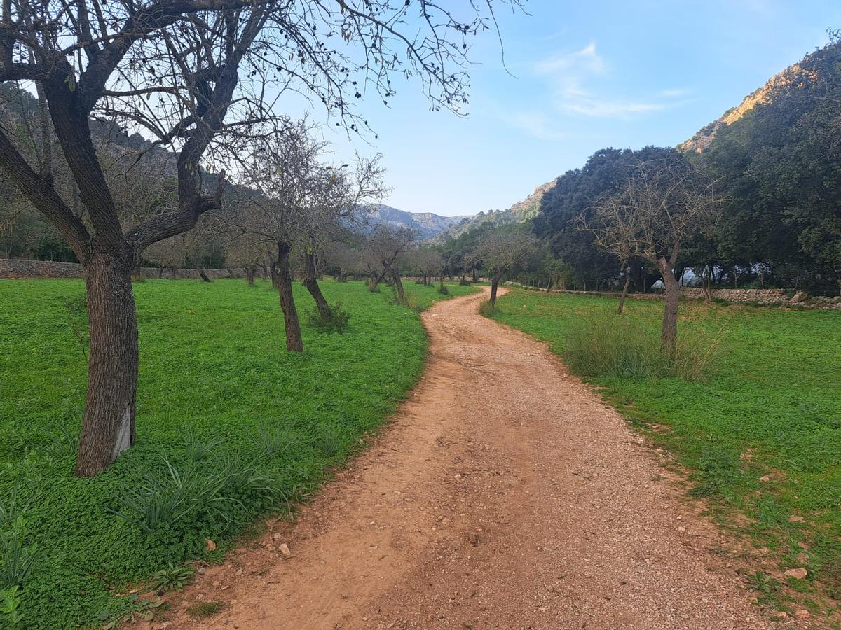 Imagen de la pista forestal ahora cerrada.