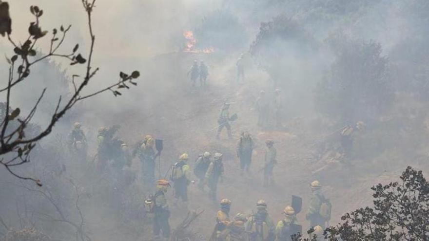 Así son los trabajos de perimetración en el foco de Mámoles, ya controlado