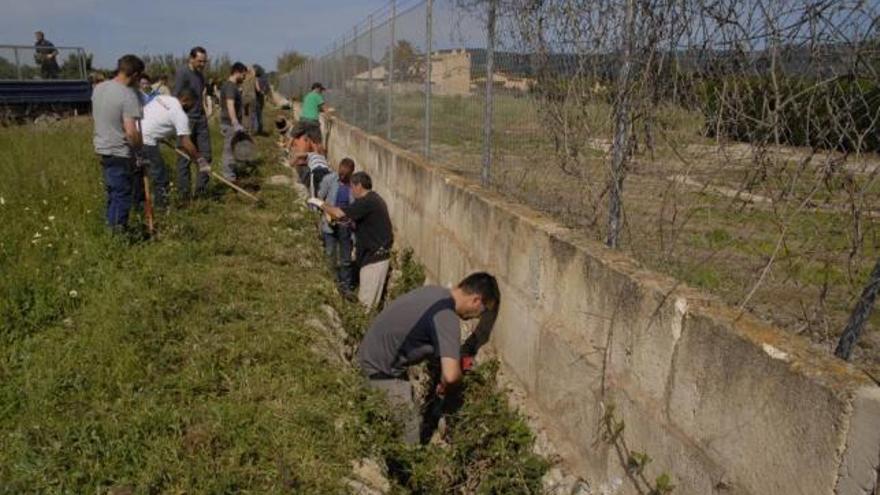 Un grupo de los voluntarios lleva a cabo las tareas.