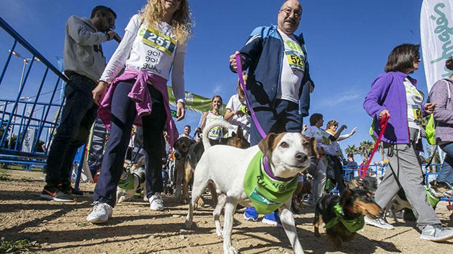 La Can We Run es una carrera para toda la familia