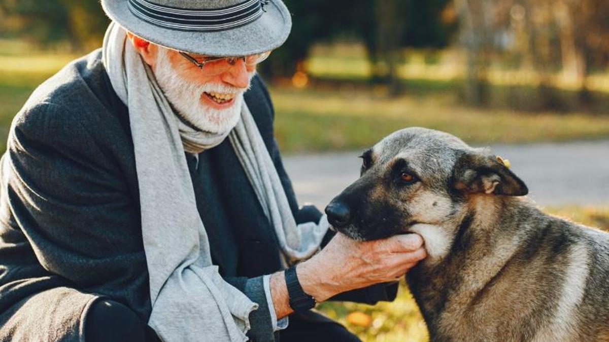 Fes que les teves mascotes visquin més anys