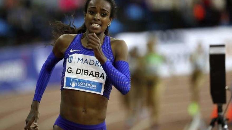 Dibaba falla en el intento de récord mundial de 1.000 metros