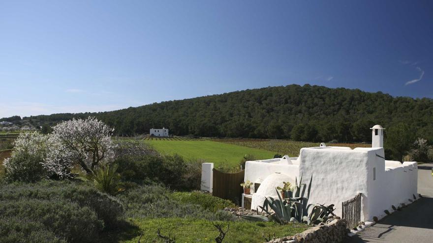 La modificación del PTI prevé la protección de la arquitectura tradicional ibicenca. | VICENT MARÍ