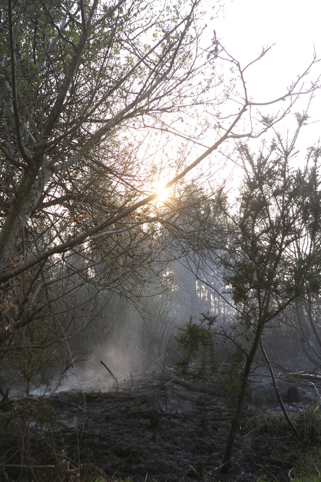 El fuego llega a la comarca de Avilés y se adentra en la Plata (Castrillón)