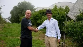 El secreto de los arándanos de Salas que han logrado un premio de producción sostenible